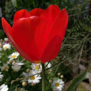 30084386_161325514553526_6972558240286507008_n