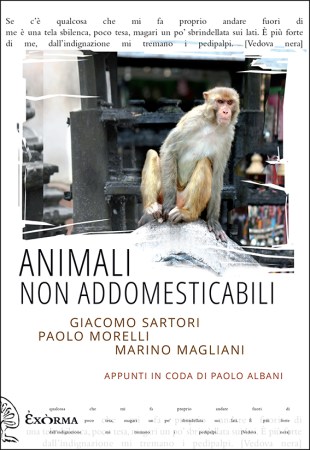 COP_ANIMALI_bis.qxp_Layout 1